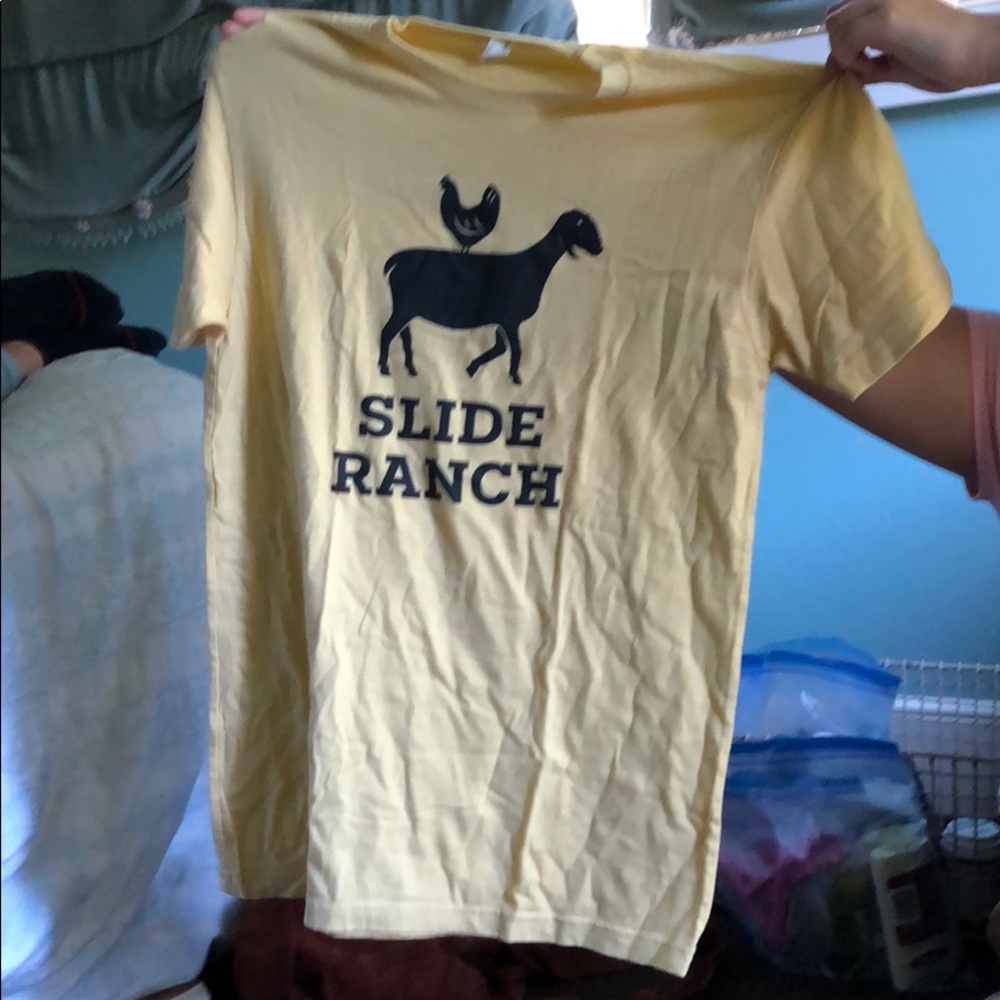 T shirt